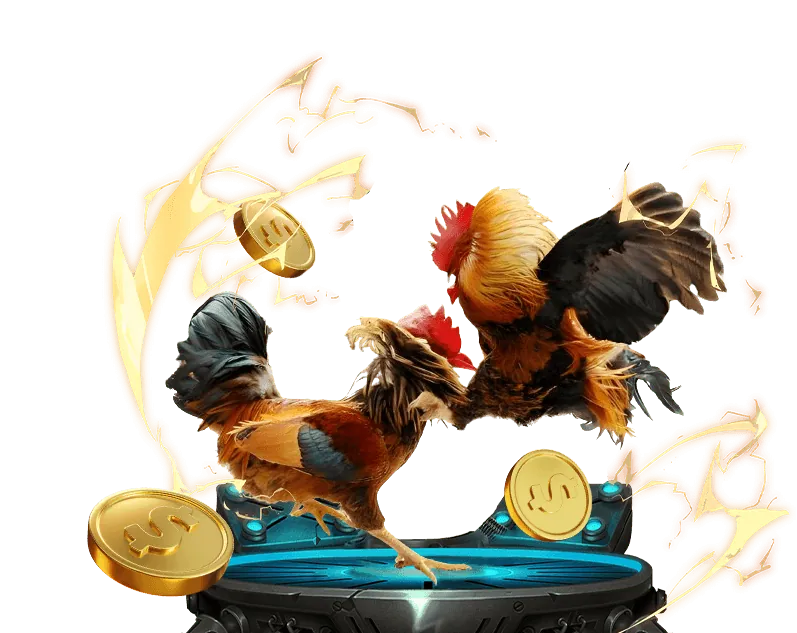 Gà chiến Philippines